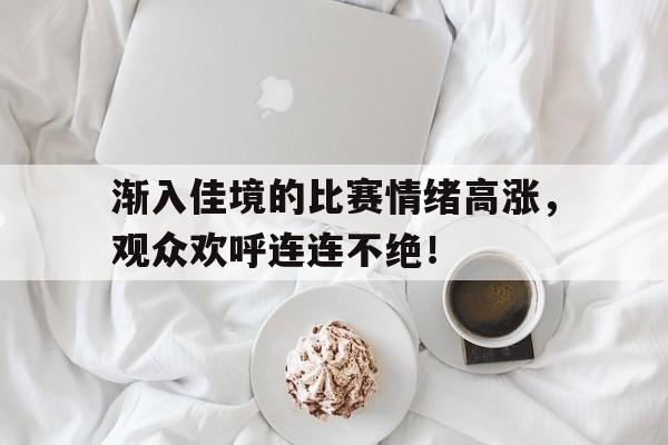 渐入佳境的比赛情绪高涨，观众欢呼连连不绝！的简单介绍